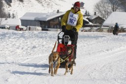 Lenk 2012 SM